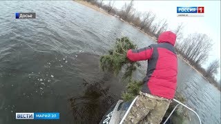 На Куйбышевском водохранилище Марий Эл установлены искусственные нерестилища