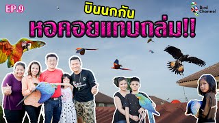 บินนกกัน หอคอยแทบถล่ม!! - โรงเรียนฝึกนกบินอิสระแห่งแรกของประเทศไทย