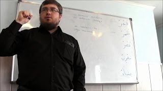 Основы Ислама. Лекция 18. Важность следования Сунне. Ризк. Таваккуль. Времена намазов.