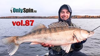 Трофейный судак, позднеосенний джиг  #OnlySpin