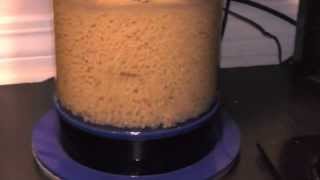 Dr Tim's Aquatics Pellet Master 3