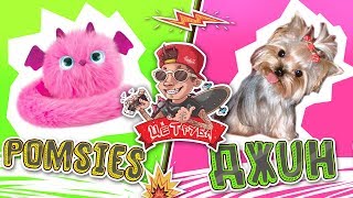 Интерактивная кошечка Pomsies  VS Камызякский пес
