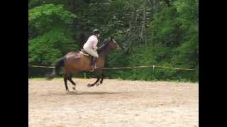 MVI 0194 Lucky Clover Stables horse show June 23 2013