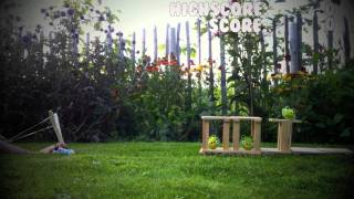 Angry Birds Real life (part 2)