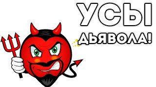 УСЫ ДЬЯВОЛА!