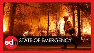 Explosive Pyrotechnic from Gender Reveal Party Blamed for Latest California Wildfire