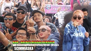 SCIMMIASKA - (BRB) BREBES REGGAE BERSATU ||Song:Leaving on the jet plan||