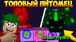 СИМУЛЯТОР ЖВАЧКИ СЕКРЕТНЫЙ ПИТОМЕЦ! КАК ВЫБИТЬ ROBLOX BUBBLE GUM SIMULATOR