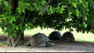 Seychelles 2