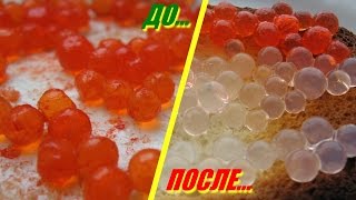 Красная белковая икра, что происходит в воде? Как проверить красную икру?