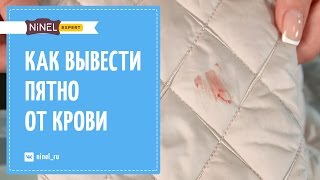 Как вывести пятно от крови? Как удалить пятно от крови на одежде?