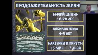 ОЧИЩЕНИЕ ОРГАНИЗМА : чем опасны ПАРАЗИТЫ ???