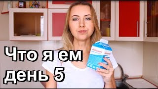 ЧТО Я ЕМ. День 5. Ем ли я гадость? Почему однообразная еда? Отношение к мясу