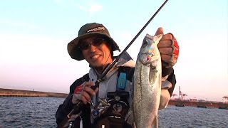 沖防波堤でシーバスゲーム！ルアーチョイスで春パターンを攻略！/四季の釣り/2015年5月22日OA