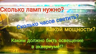 Каким должно быть освещение в аквариуме?Ещё раз поговорим о травниках.