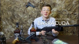 Пневматическая винтовка Hatsan Striker AR c газовой пружиной