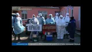 Выпуск новостей Калуги "Ника ТВ", 28 марта 21:30