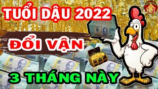 Chúc Mừng Tuổi Dậu Gặp Tháng Phát Tài 2022 Trúng Lớn Giàu To Tiền Tiêu 5 Đời Không Hết