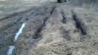 Где Нива засела?
