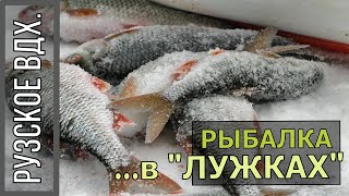 Рыбалка в "Лужках", Рузское водохранилище 20 января 2018г.
