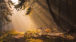 Lightroom 5 - Sun rays editing