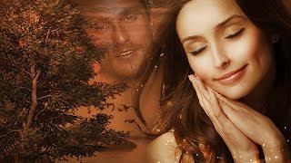 Начать С Нуля, Лучшие #Песни о Любви, Виктория Ланевская