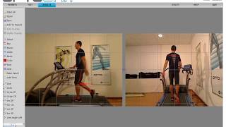 OptoGait Software for Video, Gait Analysis and Movement Assessment