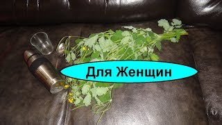 Полипы в матке лечение народными средствами. Как избавиться от полипов без операции