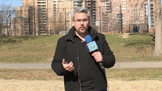 Buena opción de micrófonos para celulares y video Vlogs