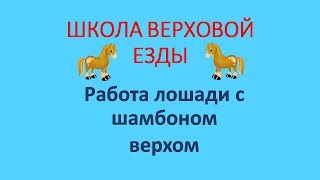 Работа лошади с шамбоном верхом