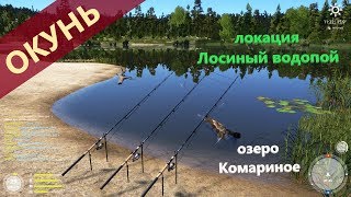 Русская рыбалка 4 - озеро Комариное - Окунь на фидер