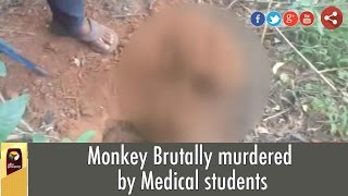 WATCH: Monkey  brutally tortured and killed by 4 CMC medical students in Vellore