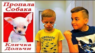 Пропала собака! Богдан потерял нашего щенка Дольчи  Видео для детей