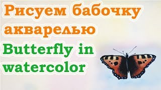 Как нарисовать бабочку акварелью. Видео урок по акварели. Цуканова Виктория