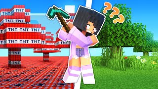 Minecraft But EVERYTHING Might Be TNT
