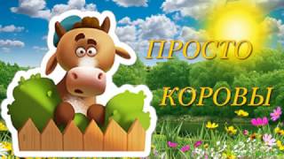 Коровы весной  Домашние животные