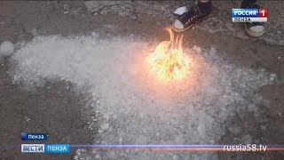 В Пензе увечилось число пожаров из-за тополиного пуха
