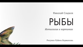 Николай Сладков. Рыбы