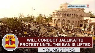 Will conduct Jallikattu Protest until the ban is lifted - Youngsters | Thanthi TV
