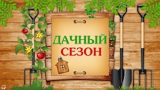 ДАЧНЫЙ СЕЗОН  проект  ProShow Producer