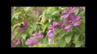 «Сельский порядок» (18.06.2014)