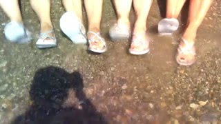 Флешмоб Все танцуют ногами