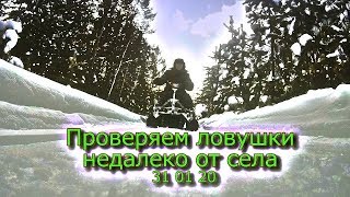 Проверяем ловушки недалеко от села 31 01 20