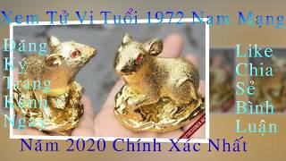 Xem Tử Vi Tuổi Nhâm Tý 1972 Nam Năm 2020 Thế nào ?