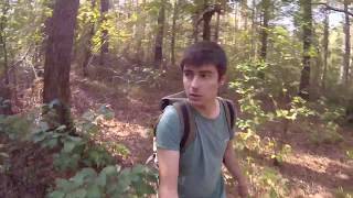 Одиночный поход в лес \ Что случилось с деревьями?