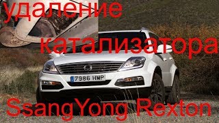 Удаление катализатора SsangYong Rexton 2013 г.в., обманка лямбда, чип тюнинг, увеличение мощности