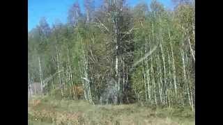 Страна ОС 4 - Страна остановивших старение ( 4 ) Льняное масло