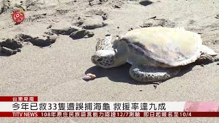 野放海龜盼喚起大眾 重視海洋生物保育 2019-09-17 IPCF-TITV 原文會 原視新聞