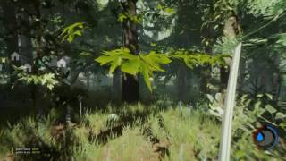 где найти катану,фонарик,и современный топор в the forest-0.64