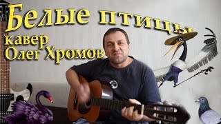 Белые птицы кружат над крышами (Гуси лебеди)